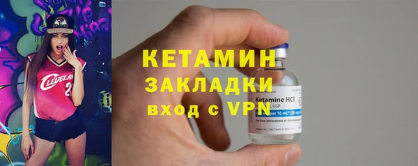 трава Ельня