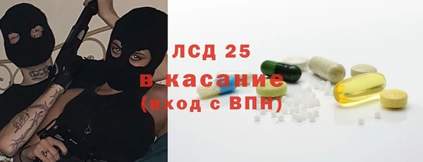 трава Ельня