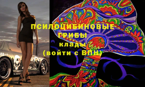 трава Ельня