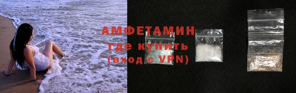 трава Ельня