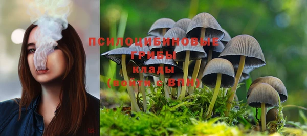 не бодяженный Елизово